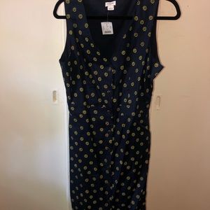 NWT Jcrew Daisy Dress